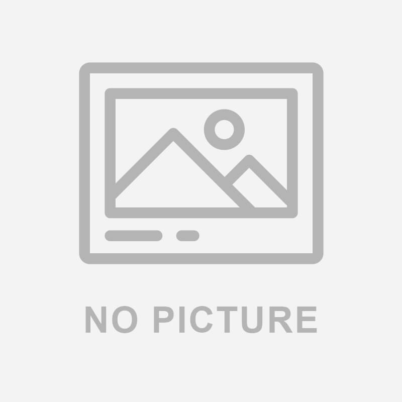 媽宮・北環線一日券｜跨海大橋&大菓葉玄武岩柱&小門鯨魚洞